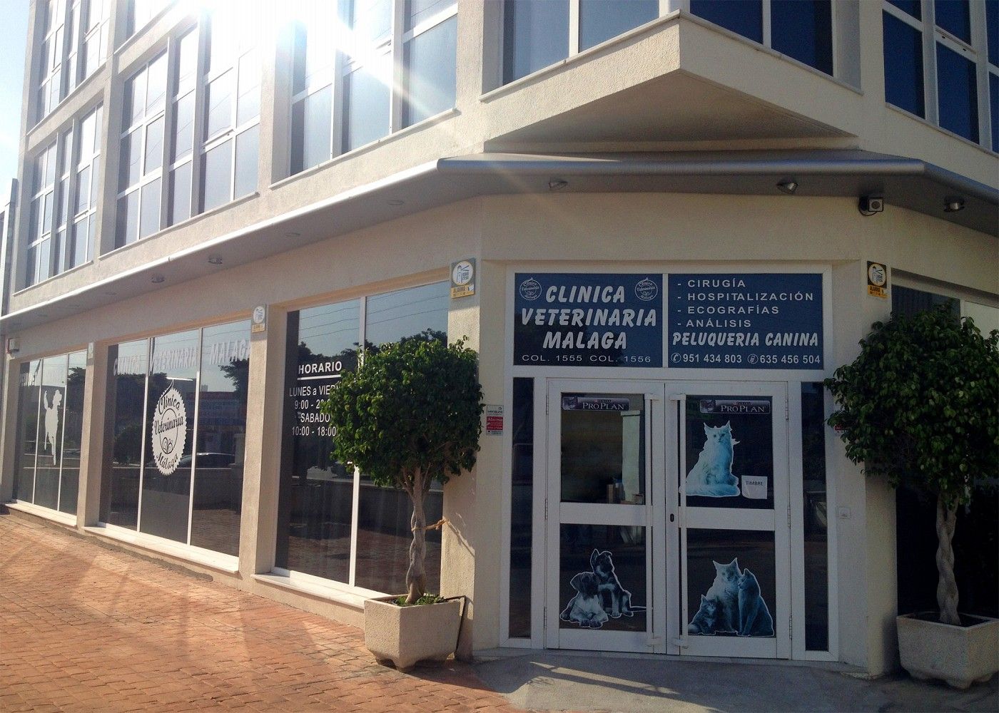 Portada clinica veterinaria malaga